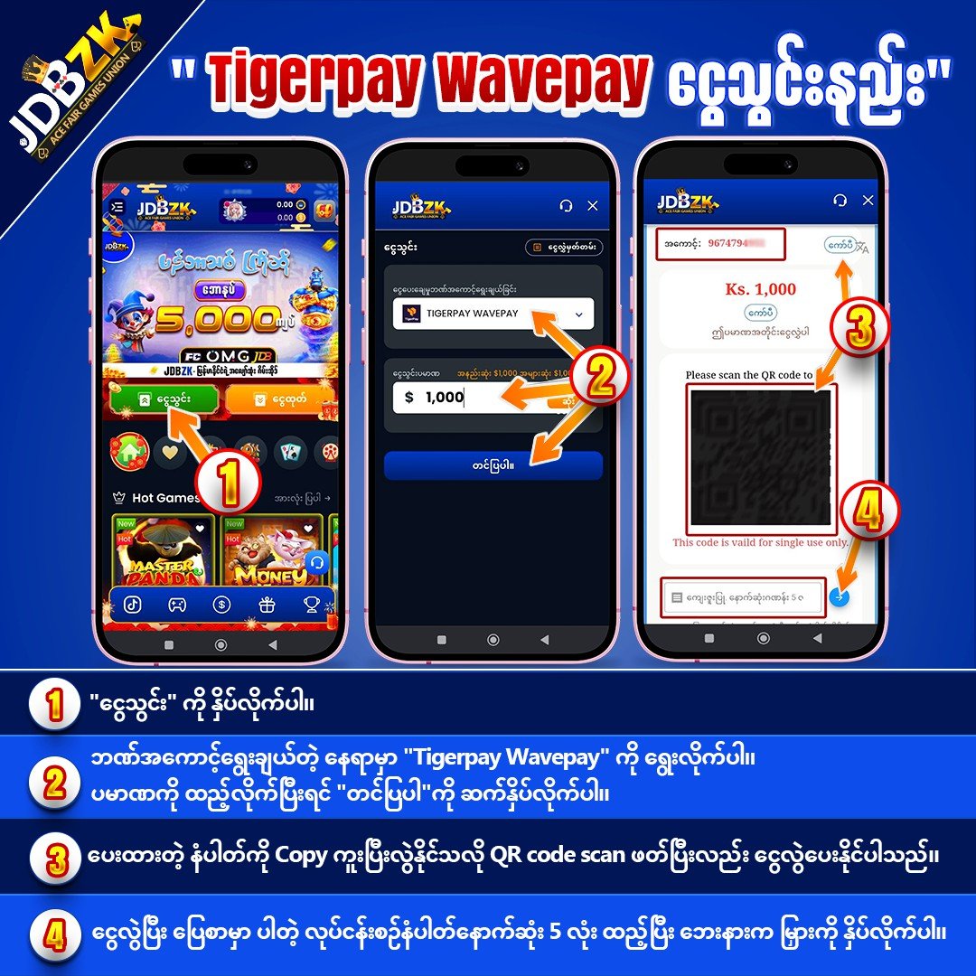 JDBZK-Tigerpay Wavepay-payment